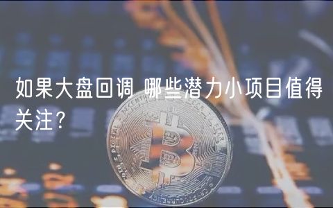 如果大盘回调 哪些潜力小项目值得关注？-第1张图片-交易所